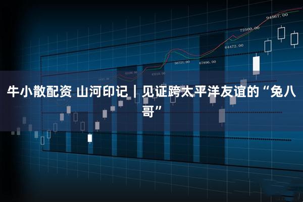 牛小散配资 山河印记｜见证跨太平洋友谊的“兔八哥”