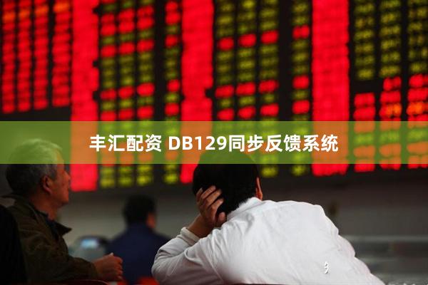 丰汇配资 DB129同步反馈系统