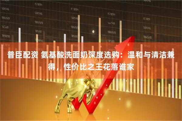 普臣配资 氨基酸洗面奶深度选购：温和与清洁兼得，性价比之王花落谁家