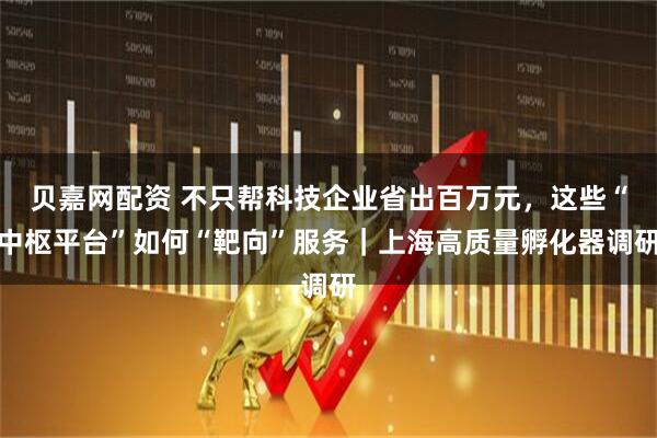 贝嘉网配资 不只帮科技企业省出百万元，这些“中枢平台”如何“靶向”服务｜上海高质量孵化器调研